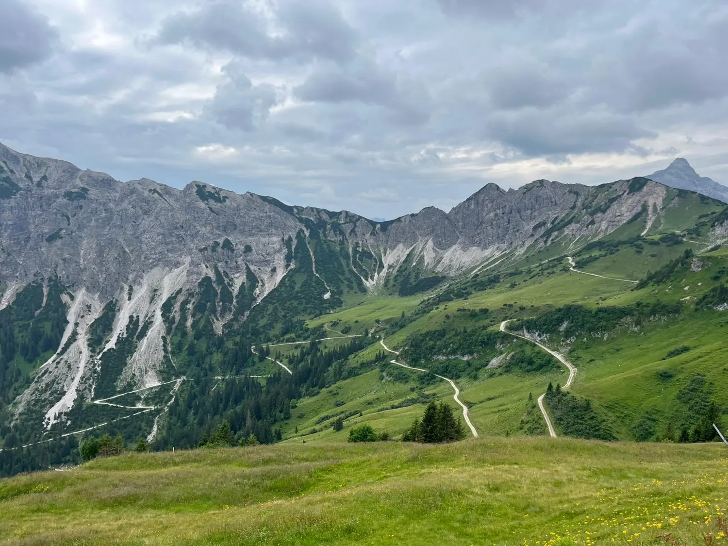 Almwiesen und Wanderweg über den Allgäuer Hochalpen