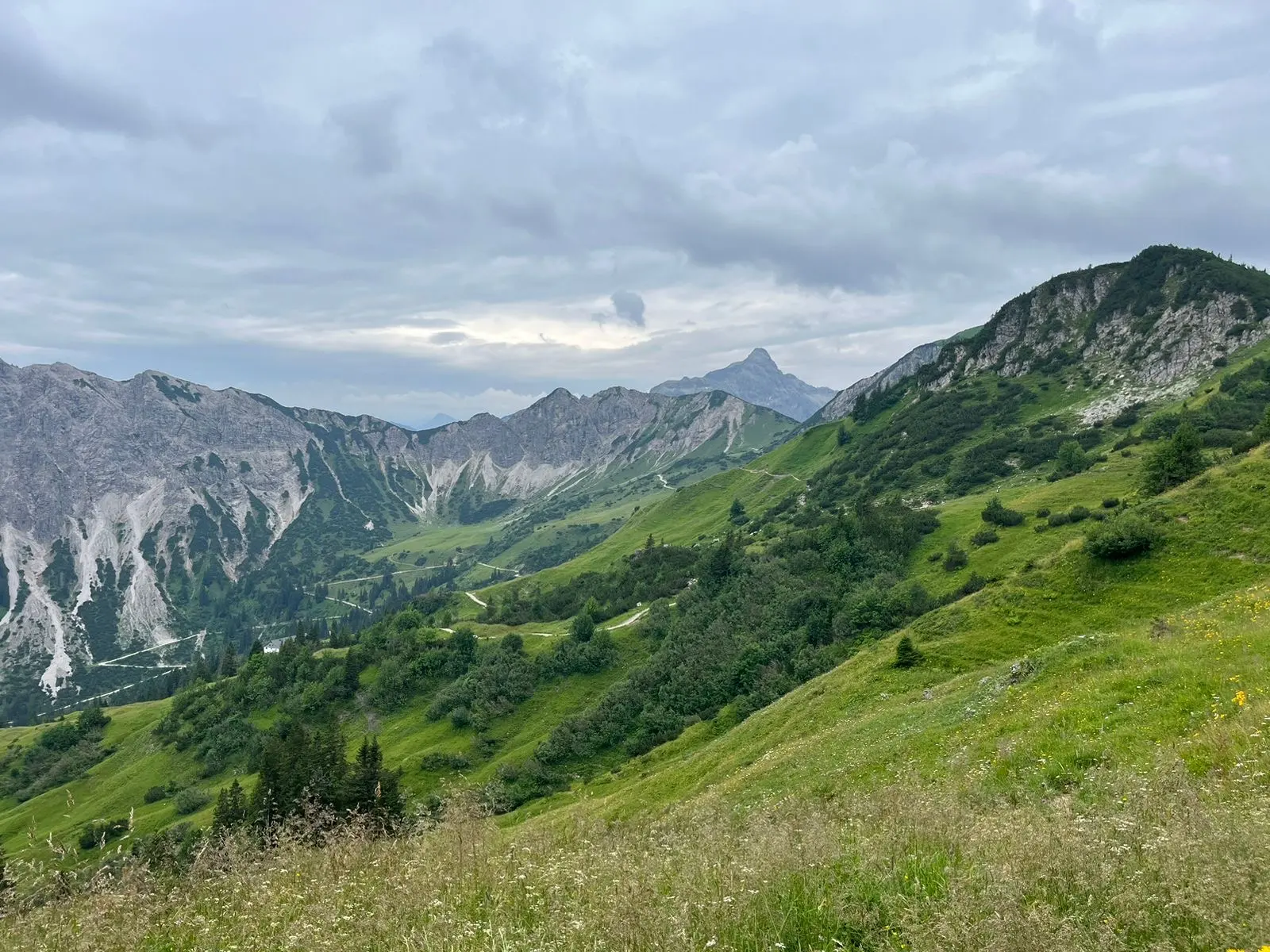 Blick über grüne Bergrücken und Felsgipfel der Allgäuer Hochalpen