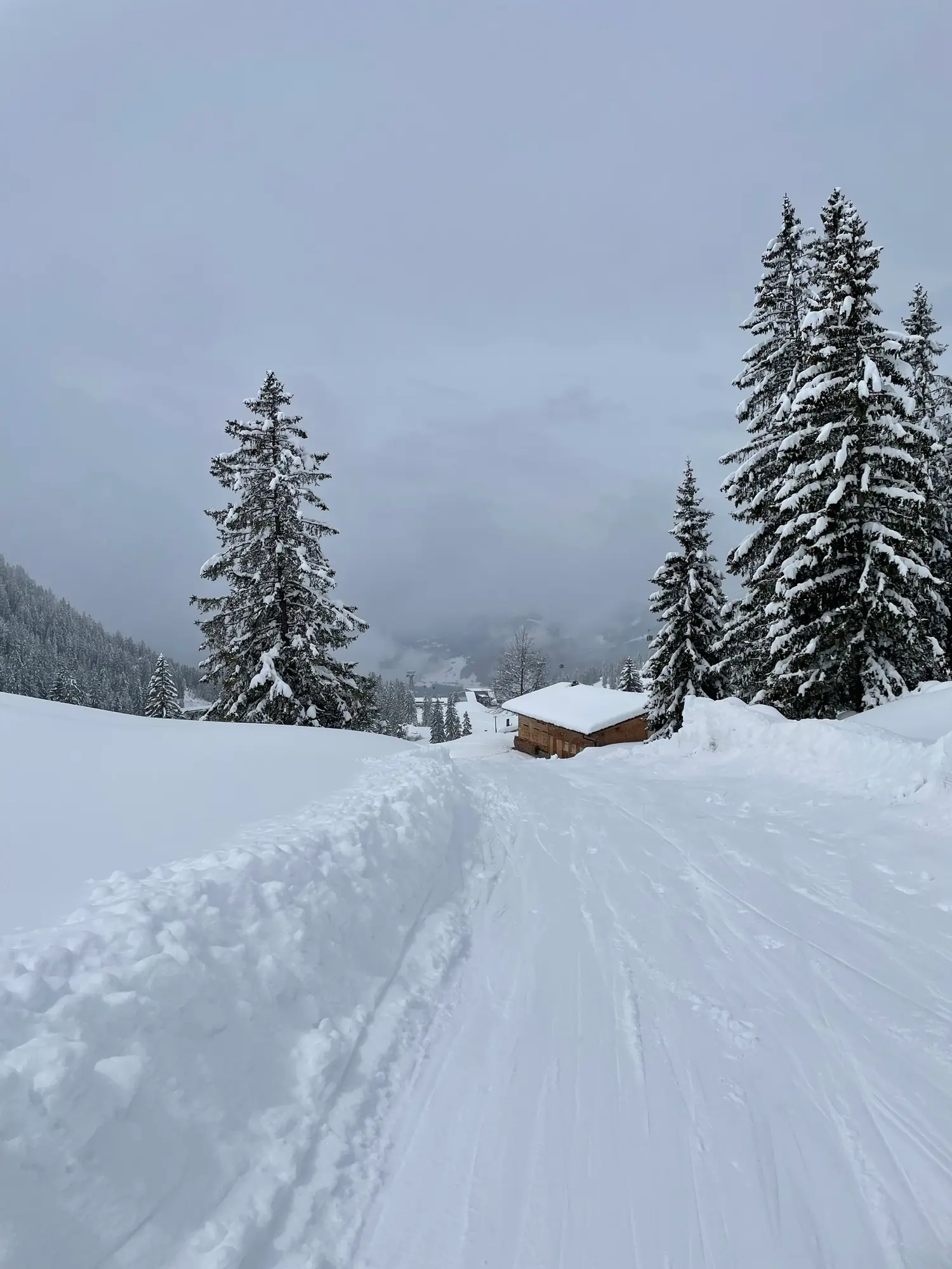 Verschneiter Winterweg durch den Wald