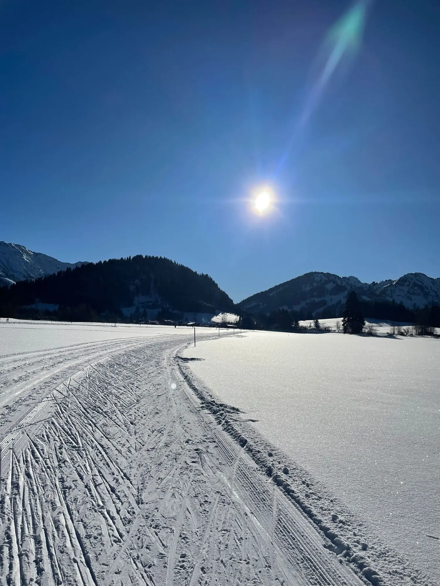 Loipe durch die verschneite Winterlandschaft